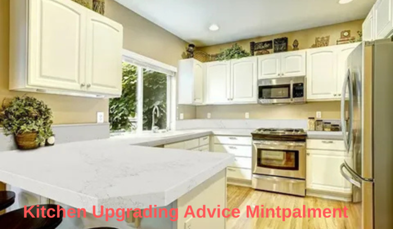 Kitchen Upgrading Advice Mintpalment